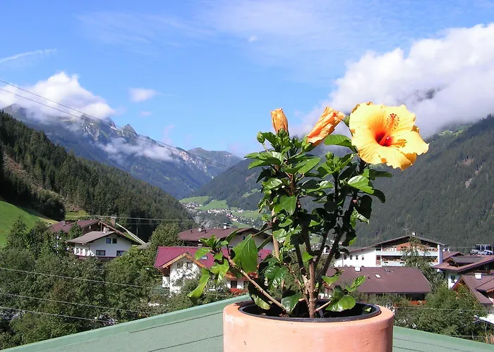 Готель Laendenhof Superior 3*